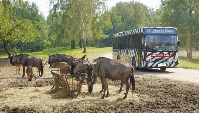 parc safari Beekse Bergen